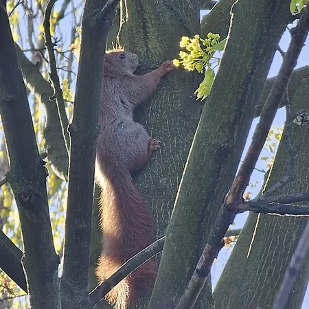 Dom Nad Jeziorem Alpesi faház *