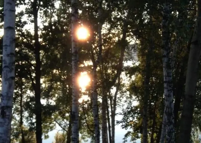 בקתה Dom Nad Jeziorem Żywiec