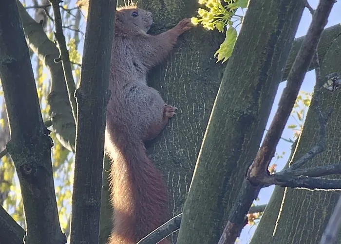 Dom Nad Jeziorem בקתה *